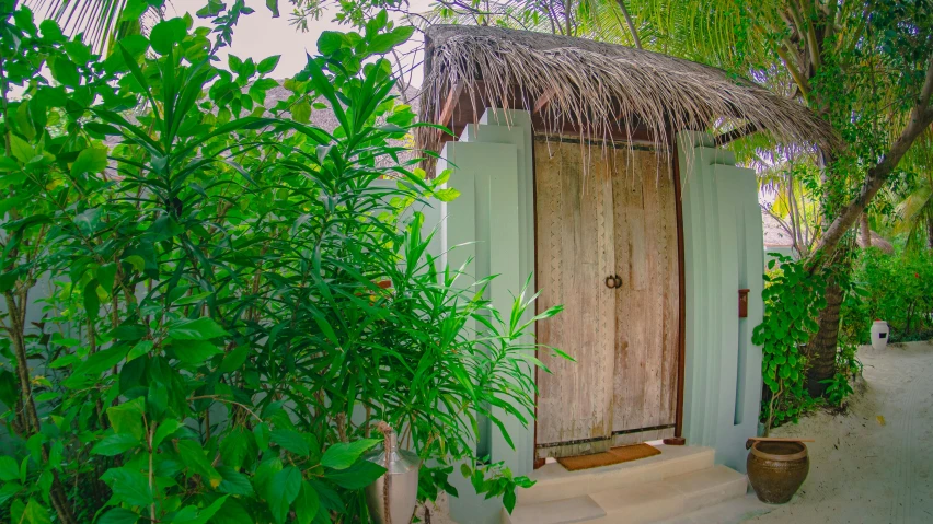 a small white house with a thatched roof, unsplash, lush exotic vegetation, doorway, maldives in background, profile image