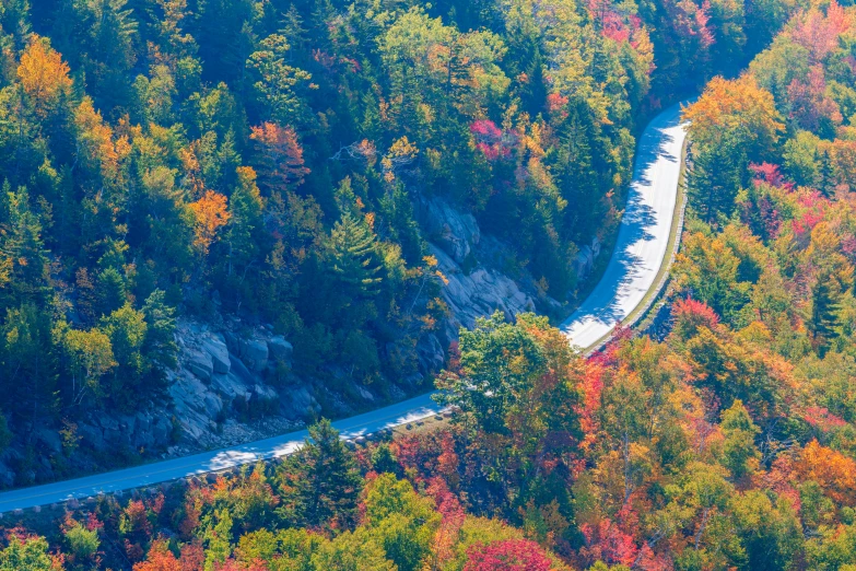 a long train traveling through a lush green forest, pexels contest winner, hudson river school, red orange and yellow leaves, top view of convertible, new hampshire mountain, 2 5 6 x 2 5 6 pixels