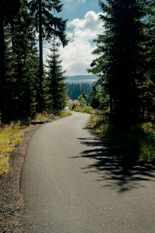 a man riding a skateboard down a curvy road, a picture, by Matthias Stom, unsplash, les nabis, sparse pine forest, panorama, oregon, shady