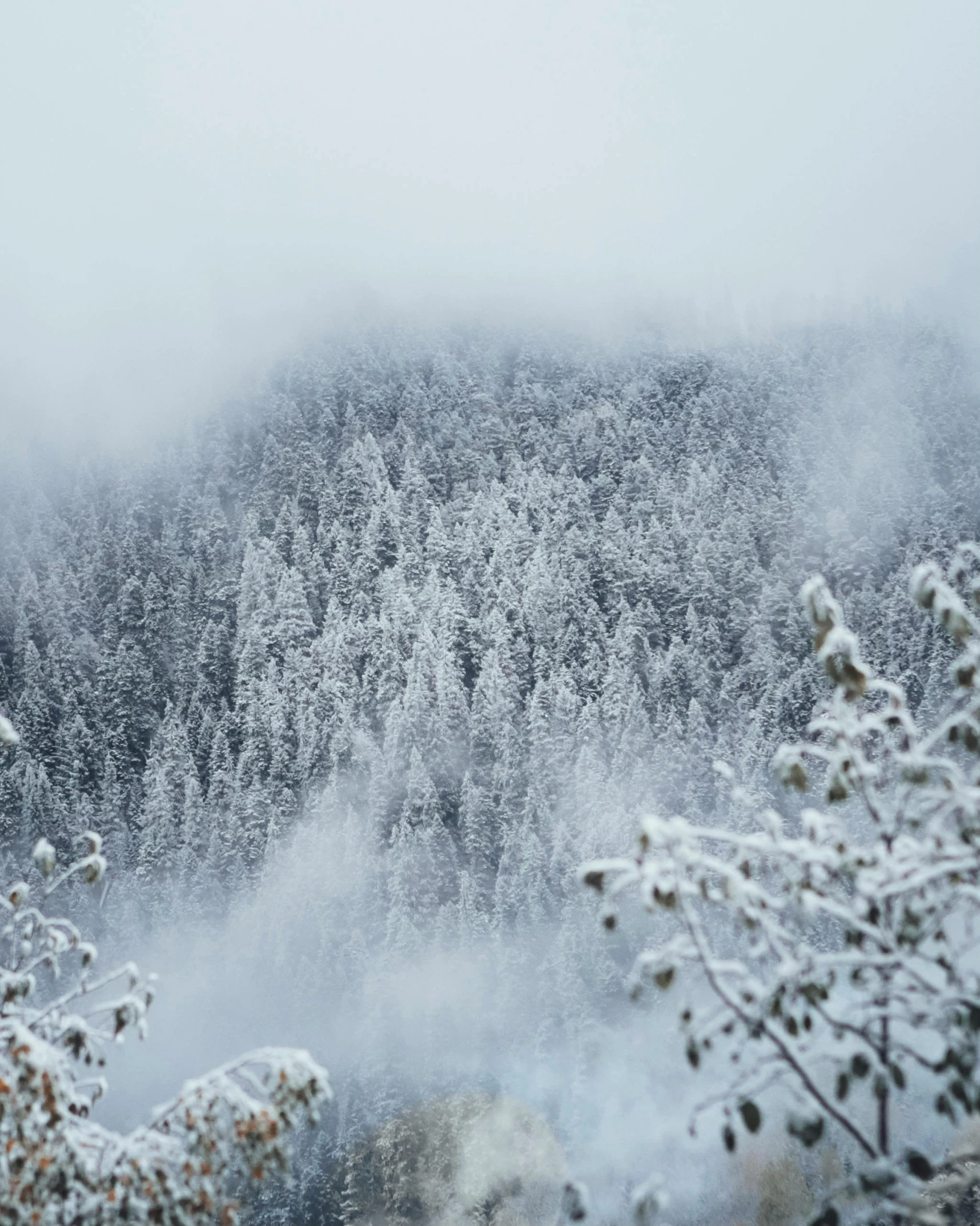 a mountain covered in snow with trees in the background, by Christen Dalsgaard, pexels contest winner, foggy day outside, thumbnail, multiple stories, slightly pixelated