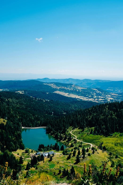 a large body of water sitting on top of a lush green hillside, by Alexander Bogen, pexels contest winner, black forest, bird\'s eye view, pine trees in the background, panorama distant view