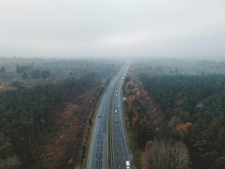 an aerial view of a highway surrounded by trees, pexels contest winner, realism, under a gray foggy sky, horizon forbideen west, lots of people, german forest