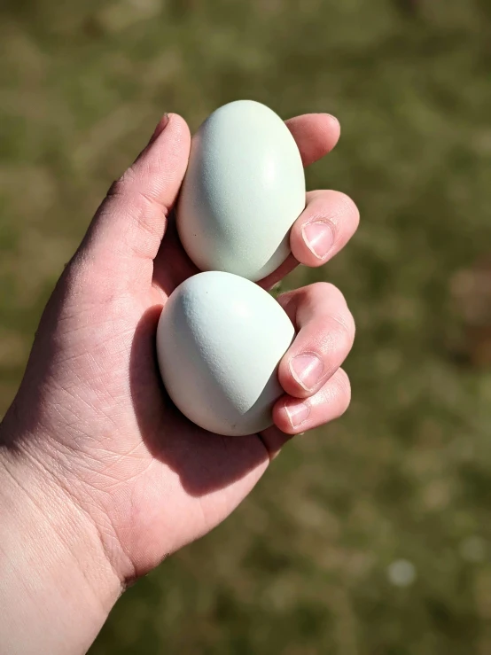 a person holding two eggs in their hand, by Ben Zoeller, happening, sage green, smooth porcelain skin, slight overcast weather, male and female