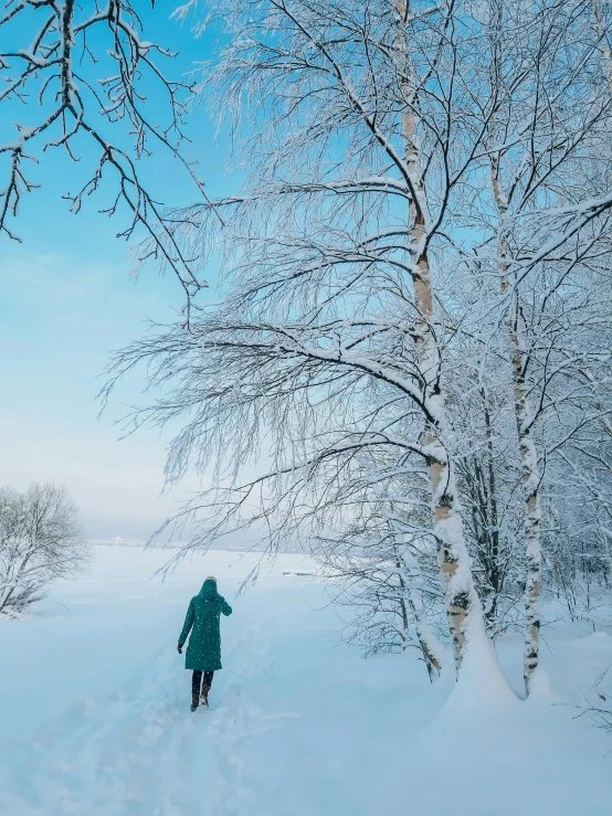 a person riding skis down a snow covered slope, by Veikko Törmänen, pexels contest winner, birch trees, she is walking on a river, sky-blue thick fur coat, professional iphone photo