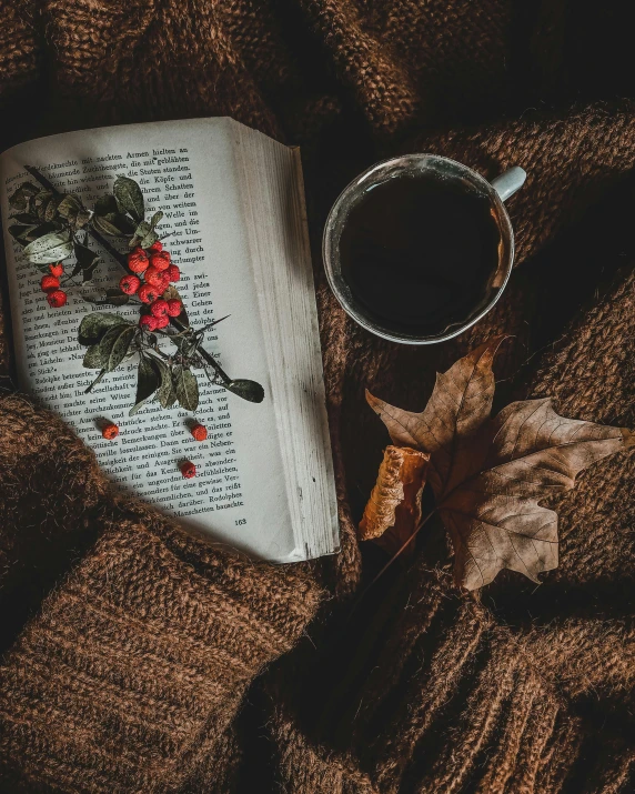 an open book sitting on top of a blanket next to a cup of coffee, a still life, pexels contest winner, dried leaves, thumbnail, wearing a dark sweater, profile image