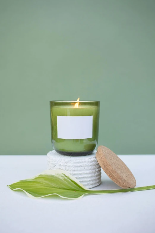 a candle sitting on top of a table next to a leaf, detailed product image, monochromatic green, slate, glass jar