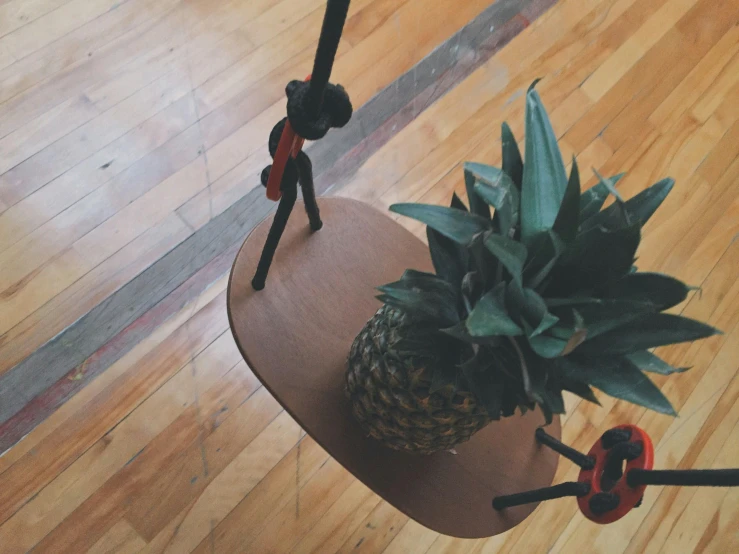 a pineapple sitting on top of a wooden chair, by Robert Richenburg, pexels contest winner, kinetic art, wide high angle view, apartment of an art student, puppet on a string, big interior plants