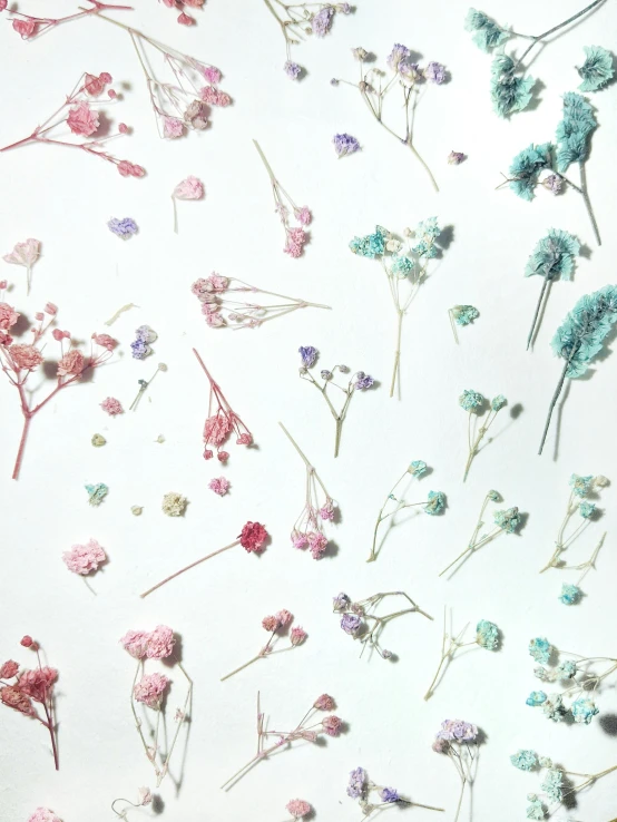 a bunch of flowers that are on a table, an album cover, by Aileen Eagleton, visual art, pressed flowers, gradient and patterns wallpaper, detail shot, cotton fabric