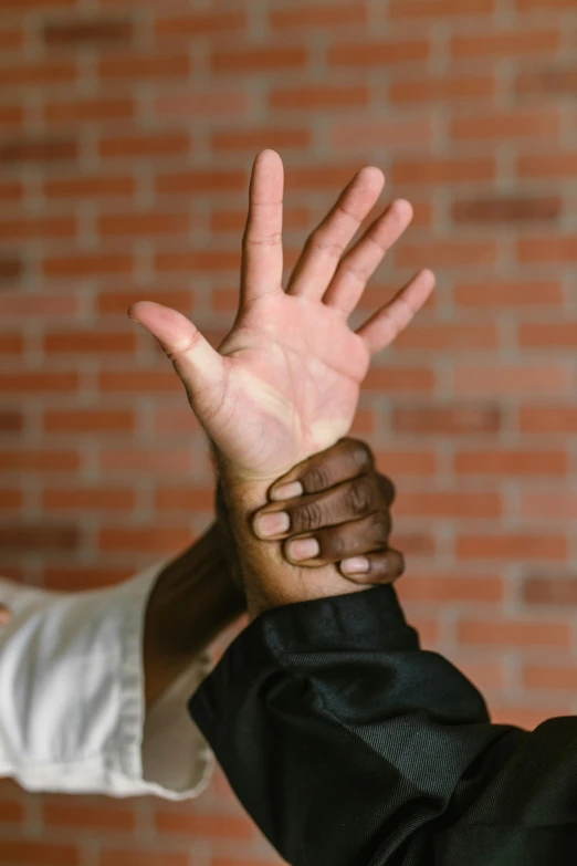 two men shaking hands in front of a brick wall, inspired by Ma Quan, unsplash, partially cupping her hands, black man, aikido, square