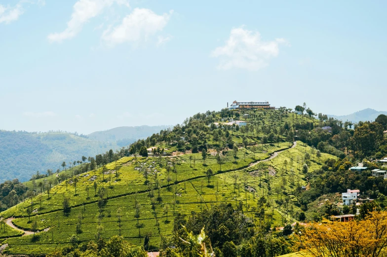 a hill with a house on top of it, pexels contest winner, hurufiyya, sri lankan landscape, background: assam tea garden, on a bright day, dezeen