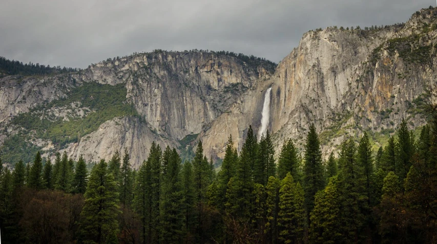 a large waterfall in the middle of a forest, by Marshall Arisman, unsplash contest winner, renaissance, yosemite valley, grey forest in the background, panoramic, limestone