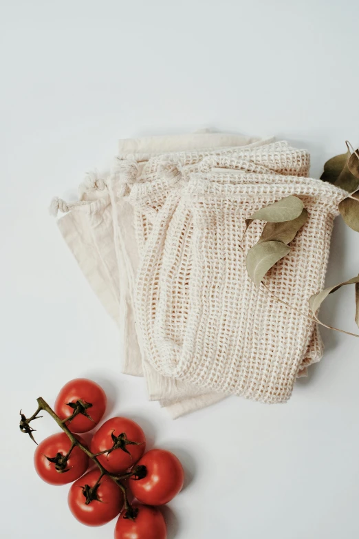 a bunch of tomatoes sitting on top of a table, holding mesh bag with bagels, linen canvas, white hue, 6 pack