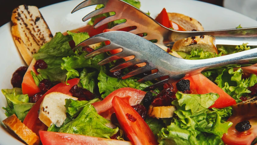 a close up of a plate of food with a fork, by Carey Morris, pexels contest winner, salad, avatar image, thumbnail, high details photo