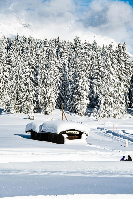 a group of people riding skis down a snow covered slope, a photo, inspired by Peter Zumthor, renaissance, witch hut, slide show, refrigerated storage facility, black forest