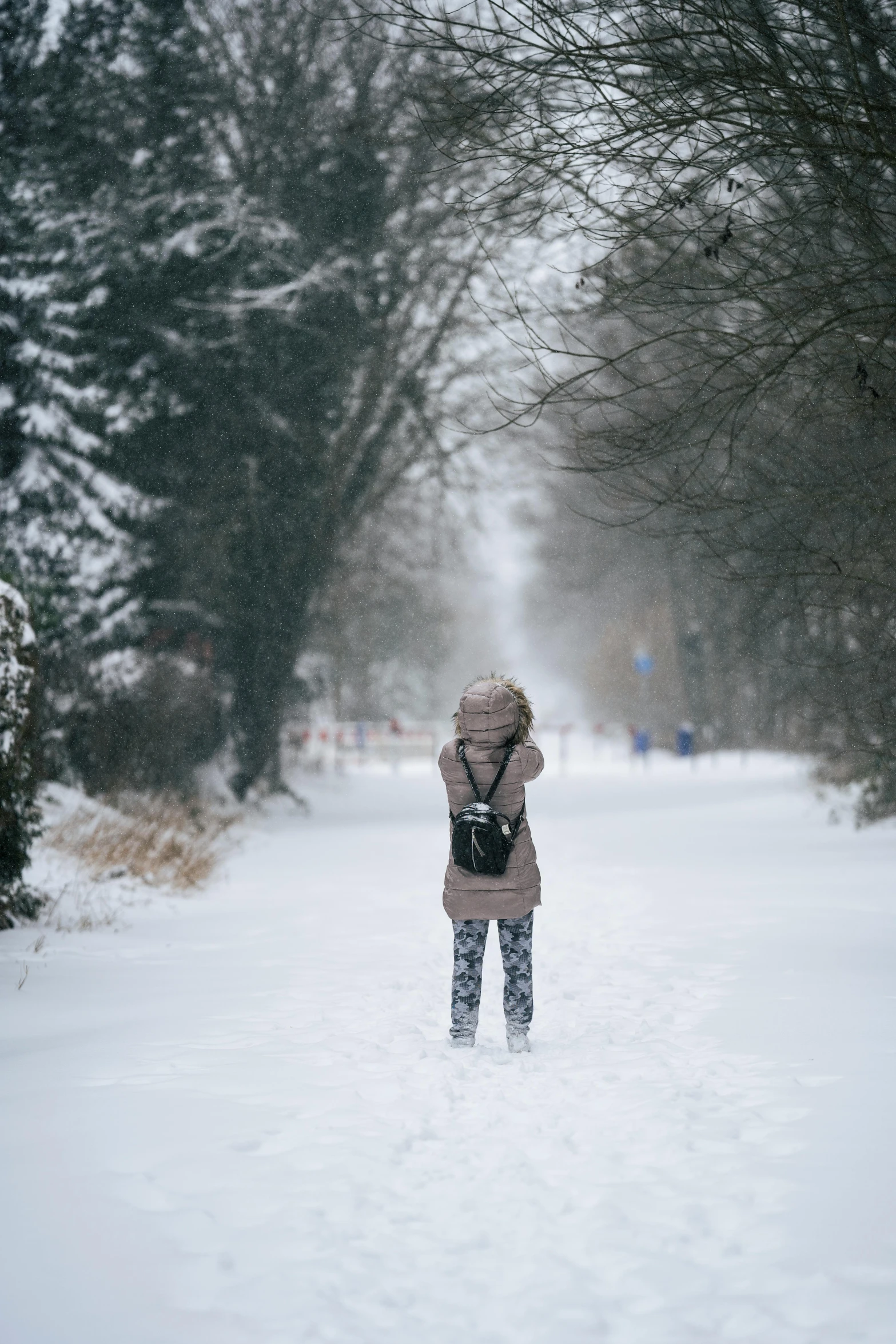 a person that is standing in the snow, pexels contest winner, facing away from camera, holiday, walking to the right, biological