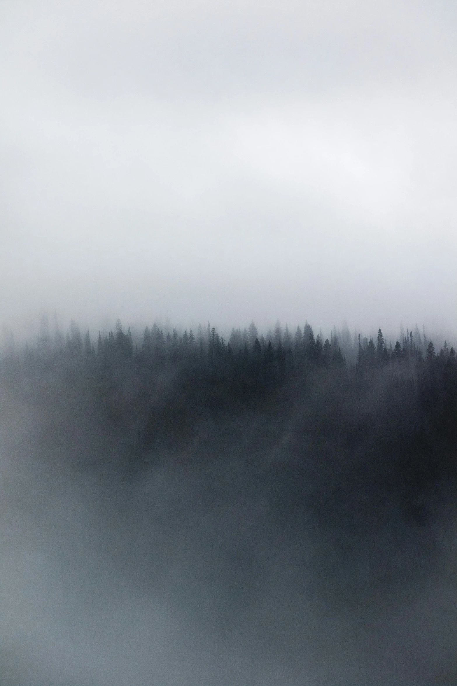 a black and white photo of a foggy forest, by Matthias Weischer, pexels contest winner, gloomy colors, made of mist, abstract nature, ominous! landscape of north bend