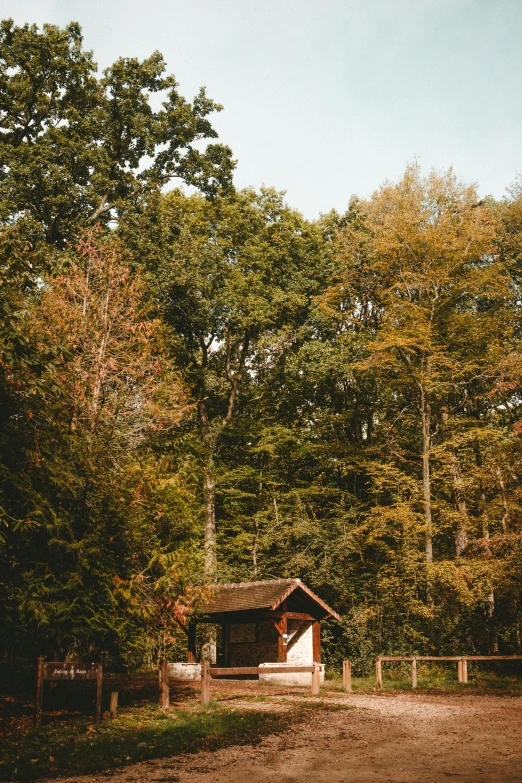 a small cabin sitting in the middle of a forest, a picture, inspired by Elsa Bleda, unsplash, renaissance, 2 5 6 x 2 5 6 pixels, autum, shrines, low quality photo