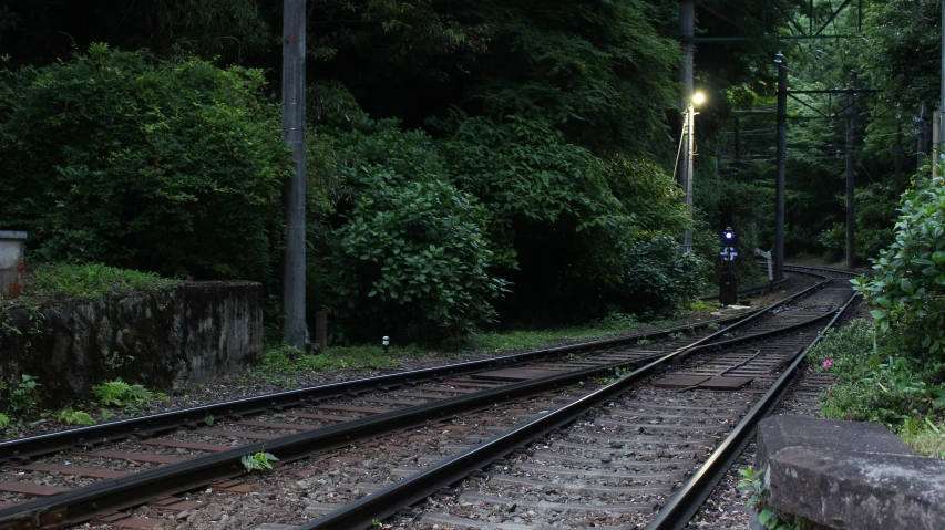 a train traveling down train tracks next to a forest, by Sengai, calm night. over shoulder shot, photograph, realistic », ultra realistic 8k octan photo