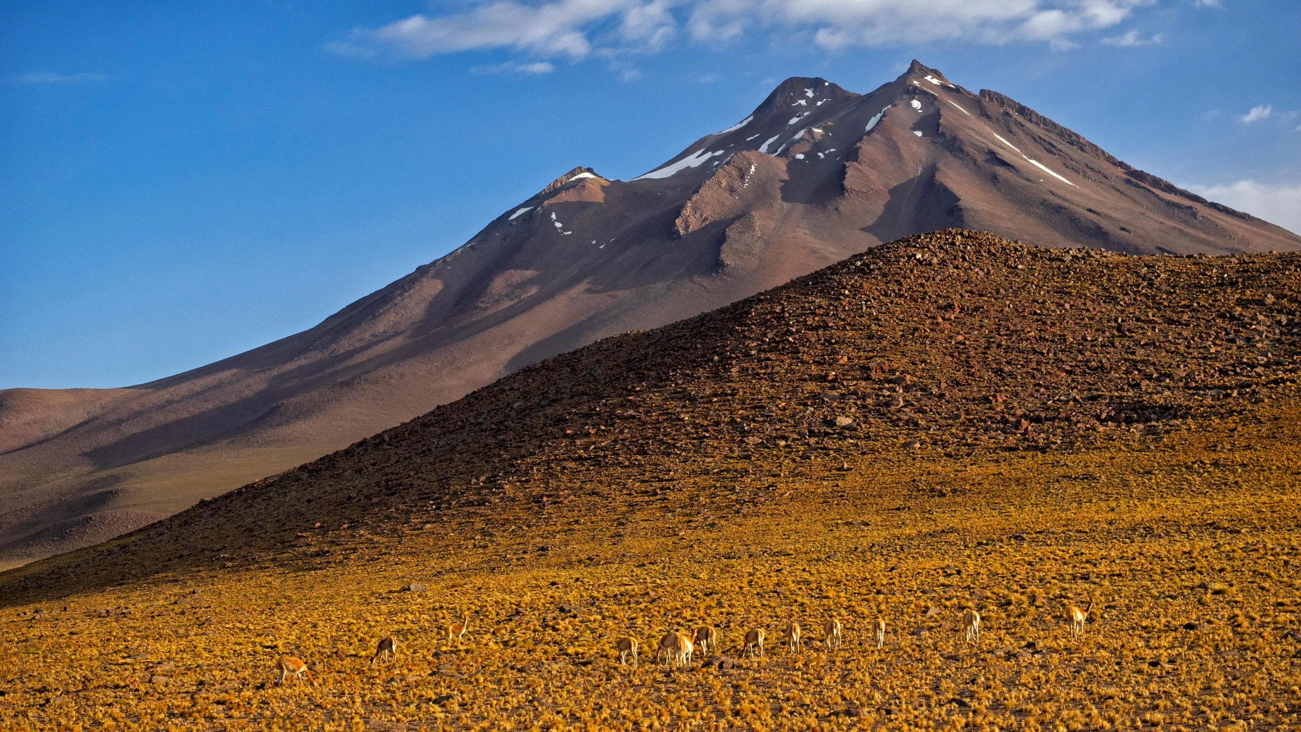 a horse in a field with a mountain in the background, by Muggur, pexels contest winner, land art, chile, panoramic, ochre ancient palette, samorost