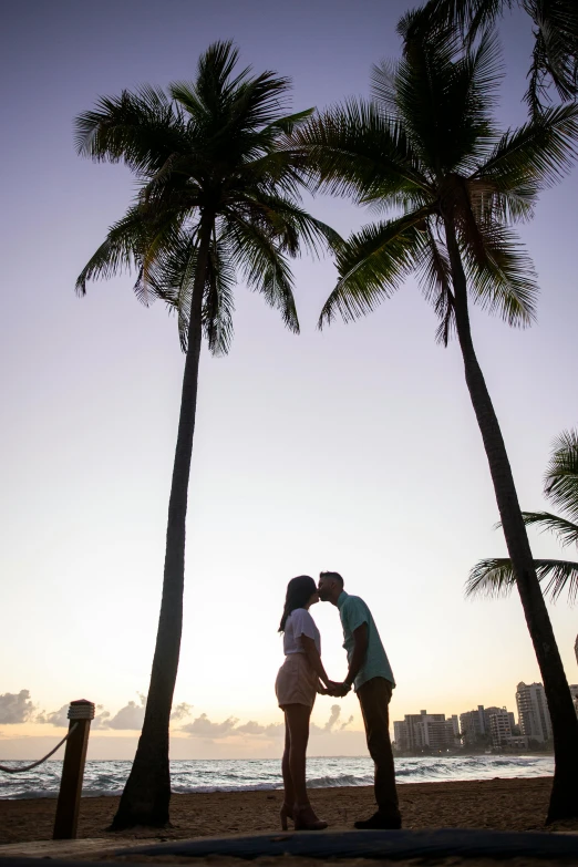 a couple kissing under palm trees on the beach, happening, skyline showing, taken at golden hour, tall