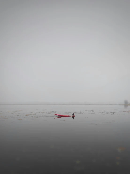 a person in a red kayak on a body of water, minimalism, gray fog, photographed for reuters, looking sad, india