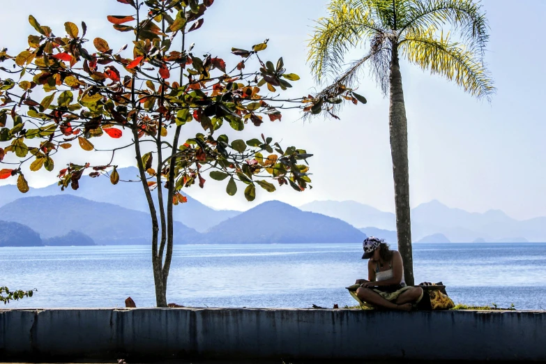 a man sitting on top of a cement wall next to a tree, inspired by Antônio Parreiras, pexels contest winner, beach and tropical vegetation, avatar image, lake view, public art