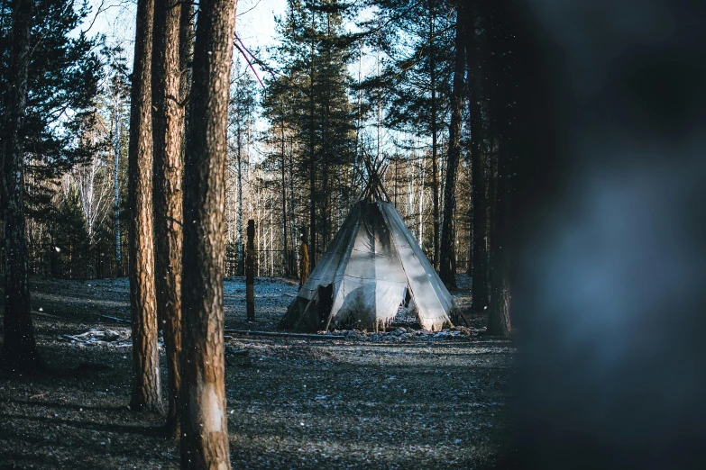 a teepee sitting in the middle of a forest, by Jaakko Mattila, pexels contest winner, pine trees in the background, cold light, tent architecture, 000 — википедия