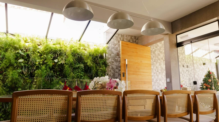 a group of chairs sitting on top of a wooden table, by Hirosada II, light and space, verdant plant wall, family dinner, profile image, in sao paulo