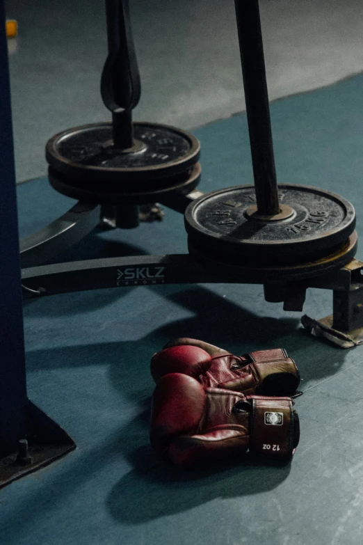 a pair of boxing gloves sitting on a gym floor, by Kristian Zahrtmann, private press, lifting weights, maroon, thumbnail, **cinematic