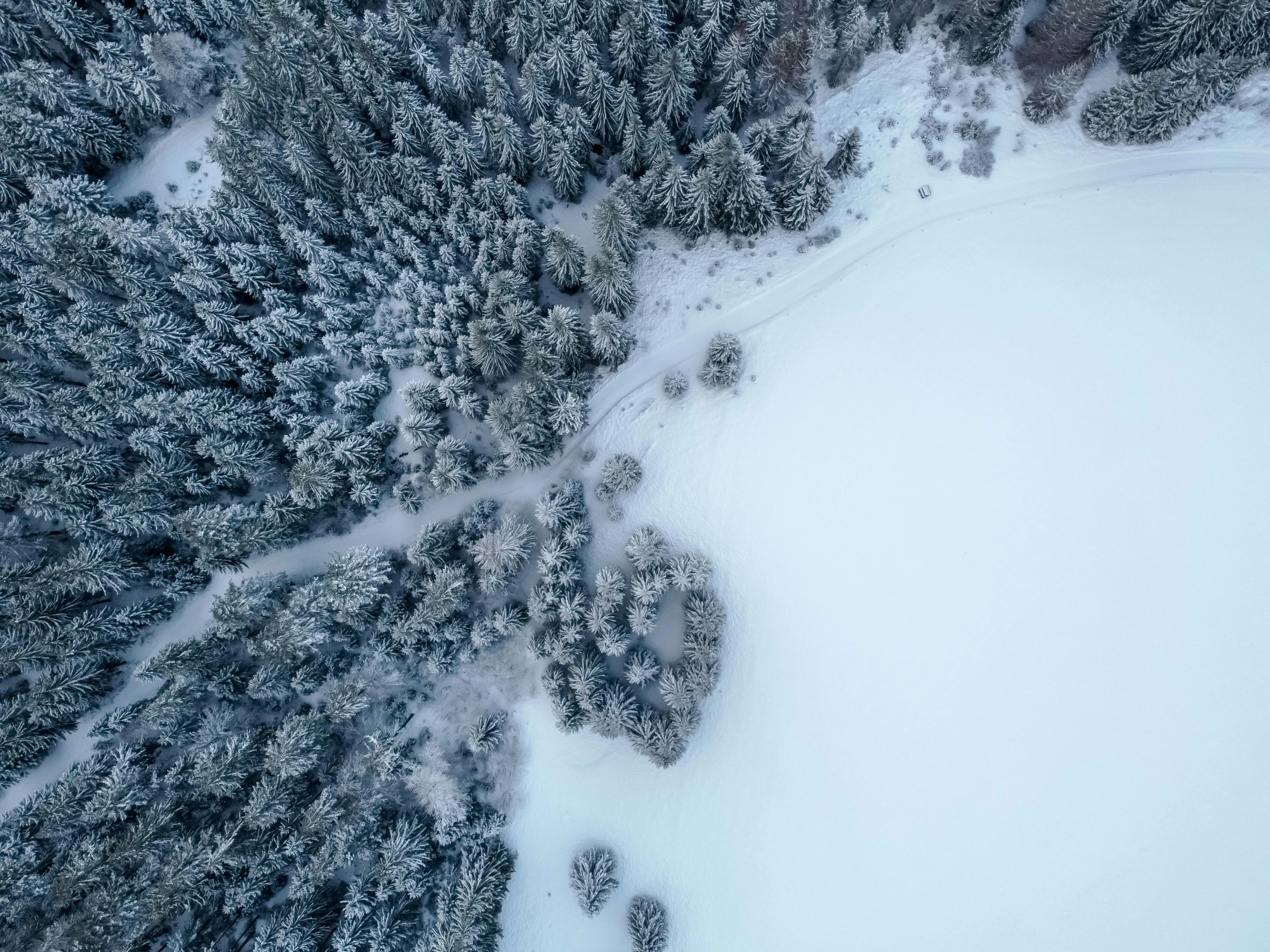 a bird's eye view of a snow covered forest, pexels contest winner, build in a forest near of a lake, grey, looking up at camera, soft white glow