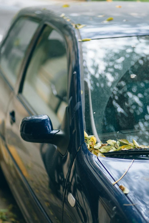 a black car parked on the side of the road, unsplash, auto-destructive art, wind blowing leaves, wilted flowers, profile image, cracked mirror