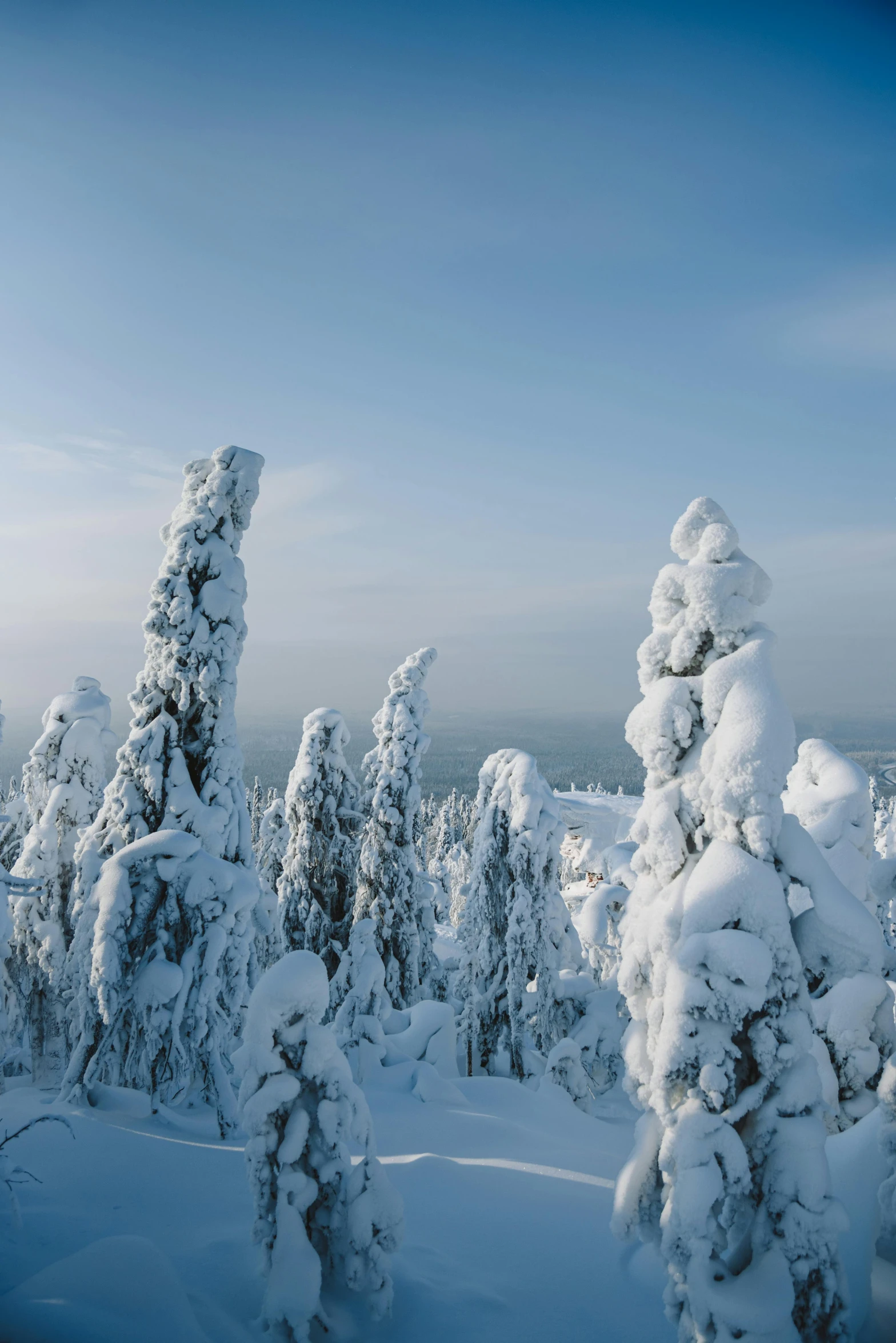 a man riding a snowboard down a snow covered slope, inspired by Einar Hakonarson, pexels contest winner, romanticism, spruce trees, panorama, lapland, spires