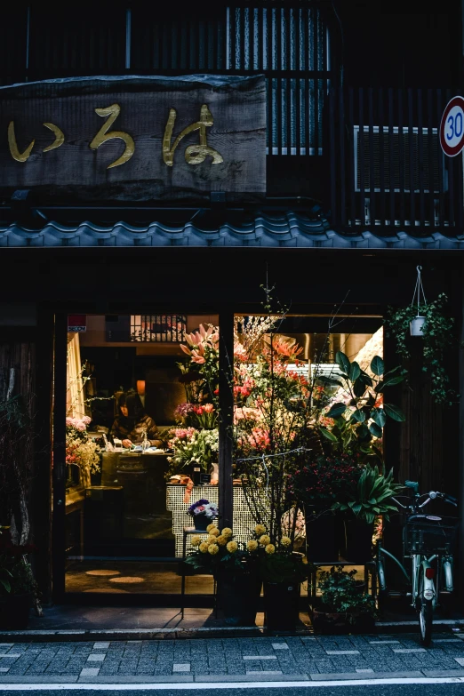 a black and white photo of a flower shop, by Niko Henrichon, unsplash contest winner, ukiyo-e, early evening, restaurant, storefront, night color