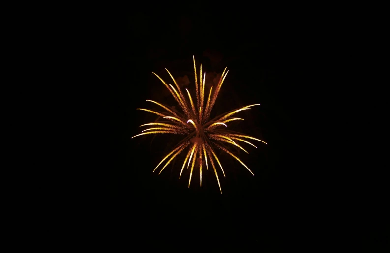 a fireworks is lit up in the dark sky, a picture, 3/4 view from below, yellow, digital image, round-cropped