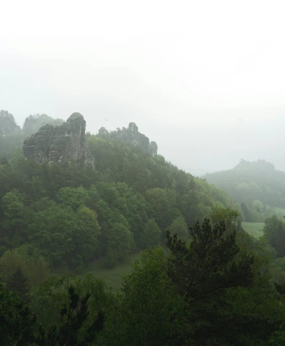 a herd of cattle standing on top of a lush green hillside, by Adam Szentpétery, romanticism, dracula's castle, rain and haze, limestone, taken from the high street