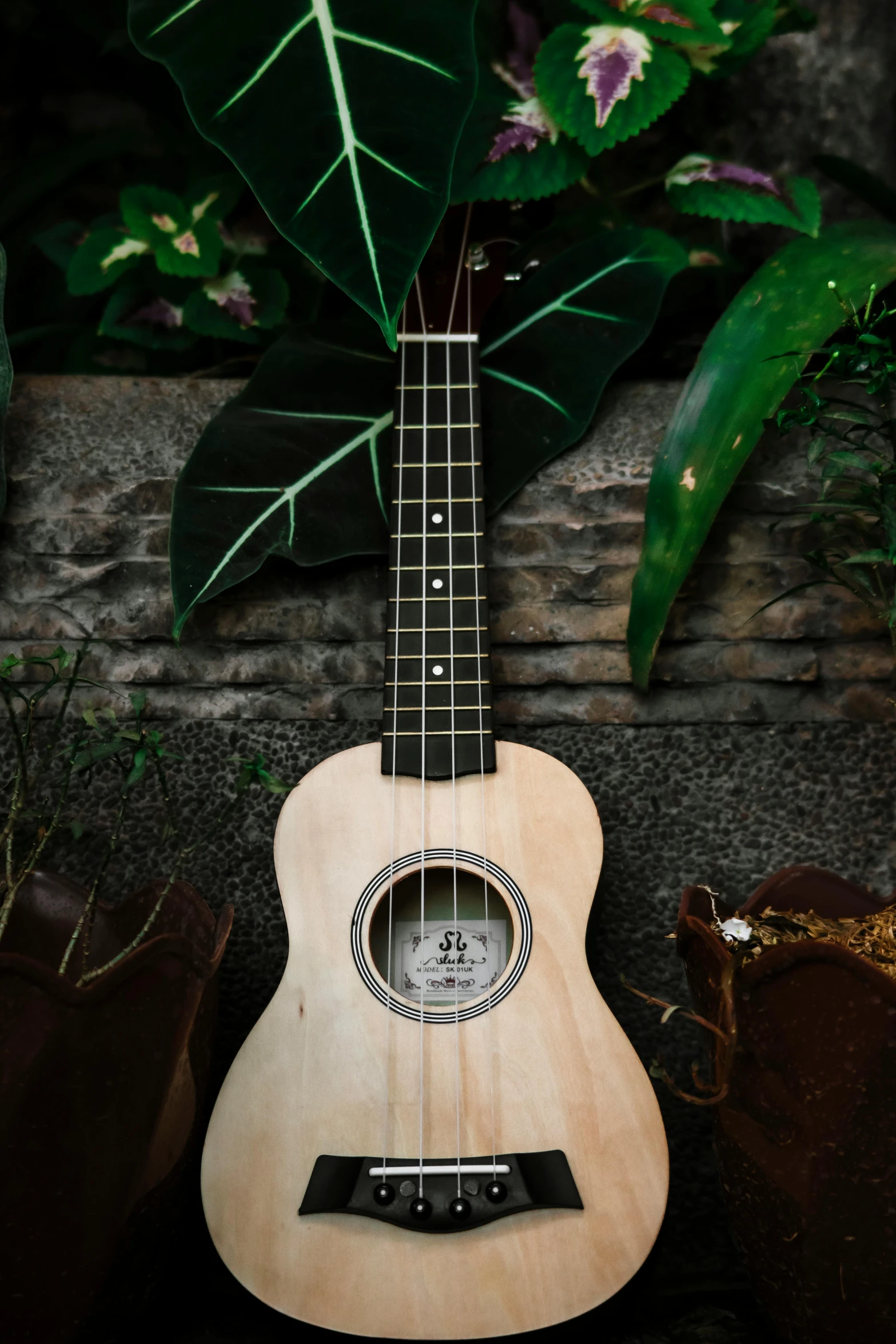 a small guitar sitting next to a potted plant, ukulele, promo photo, multiple stories, 3/4 front view