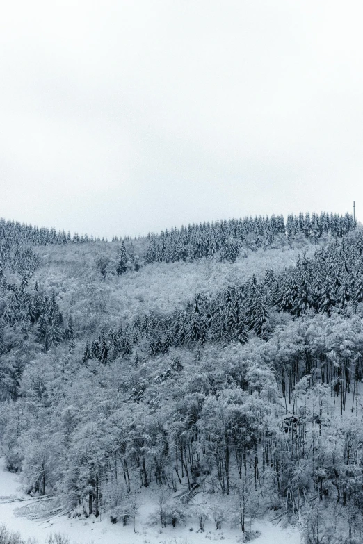 a train traveling through a snow covered forest, a photo, inspired by Georg Friedrich Schmidt, towering high up over your view, grey colours, hillside, today's featured photograph 4k