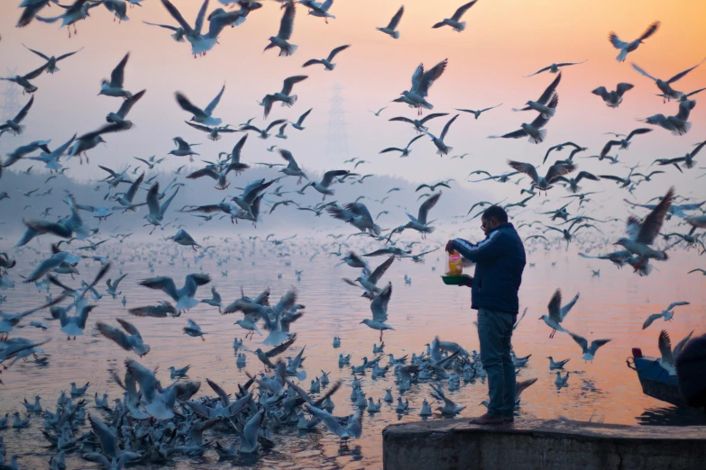 a man standing on a dock surrounded by seagulls, inspired by Steve McCurry, pexels contest winner, art photography, eating, nepal, at sunrise, in front of a large crowd