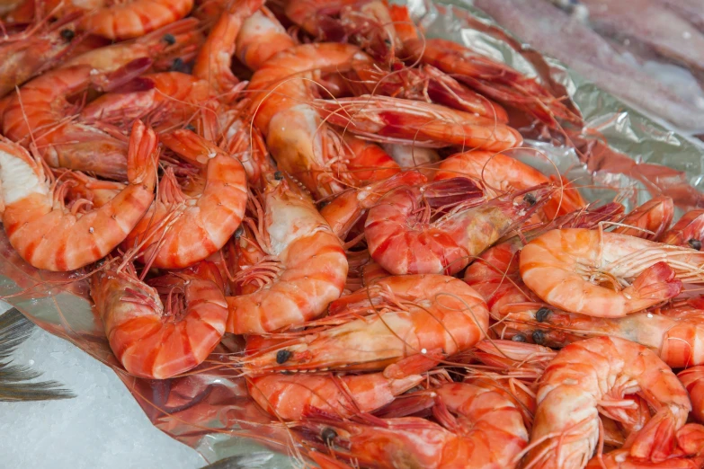 a bunch of shrimp sitting on top of a table, shiny skin”, fan favorite, sao paulo, fish seafood markets