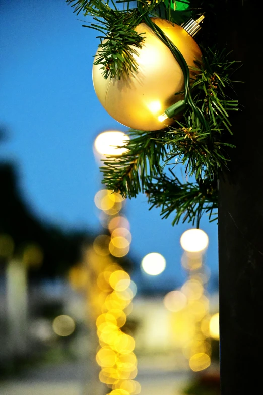 a close up of a christmas tree with lights in the background, by David Garner, happening, yellow street lights, golden orbs, evening sun, square