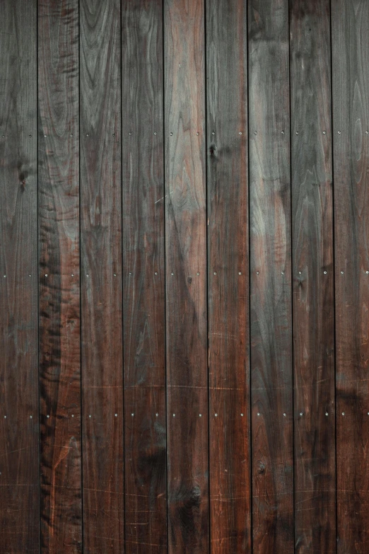 a fire hydrant in front of a wooden wall, by Andries Stock, 4 k texture pack, dark brown, wood planks, colored