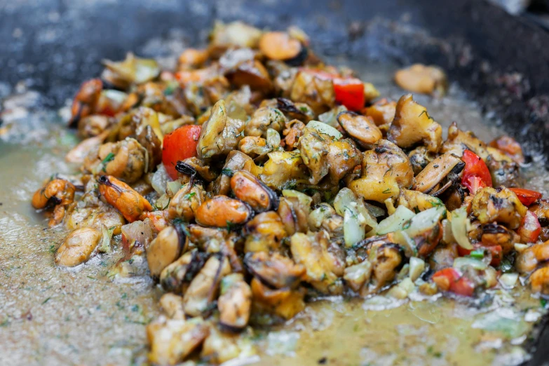 a frying pan filled with lots of food, by Julia Pishtar, shells and barnacles, ratatouille style, closeup at the food, grey