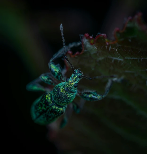 a green bug sitting on top of a leaf, by Adam Marczyński, pexels contest winner, digital art, night colors, quixel megascans, miniature animal, in a menacing pose