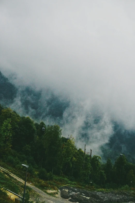 a train traveling down a train track next to a forest, pexels contest winner, romanticism, covered in clouds, muted green, hillside, overcast