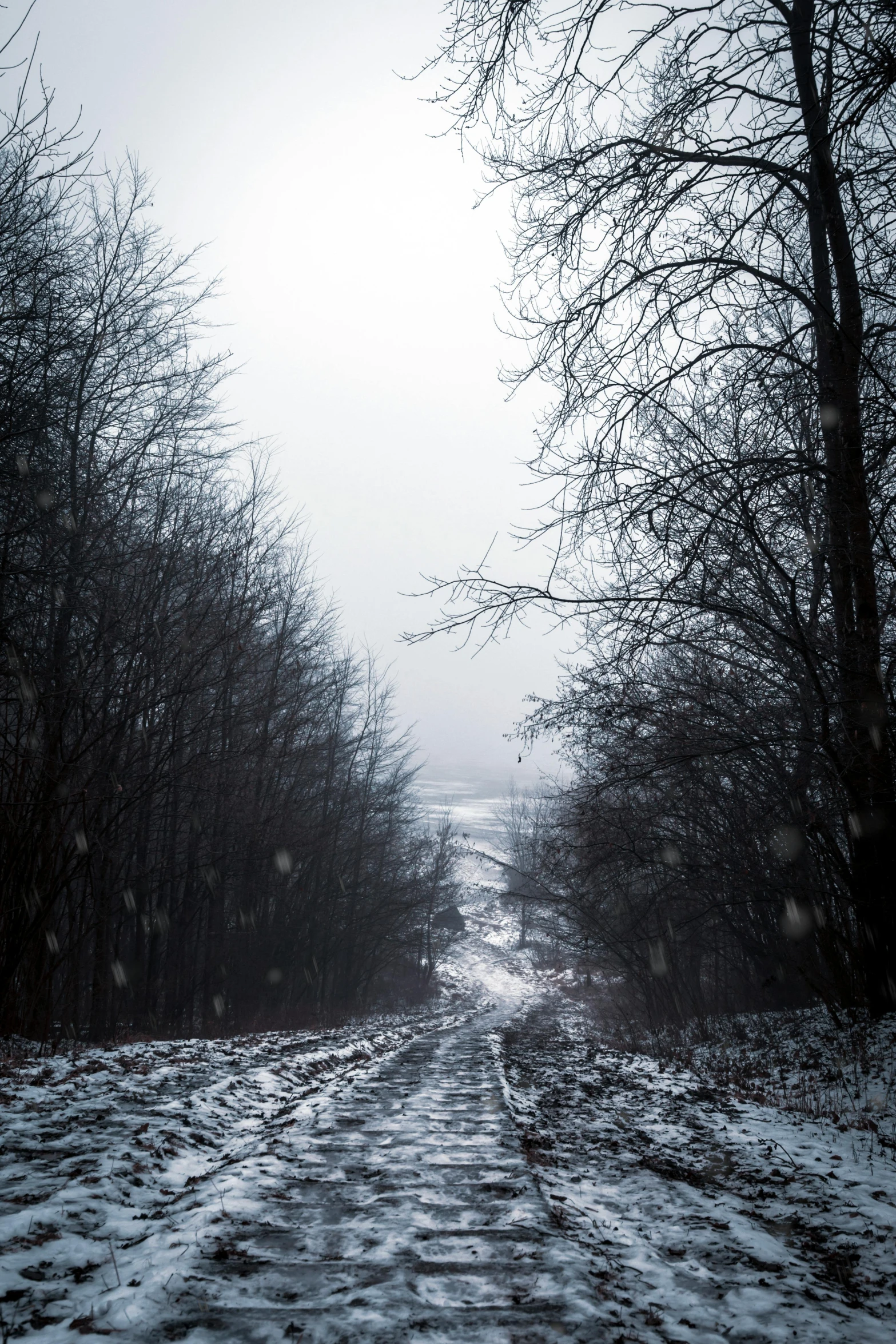 a snowy road in the middle of a forest, inspired by Elsa Bleda, romanticism, gray sky, today\'s featured photograph 4k, grey, dirt road