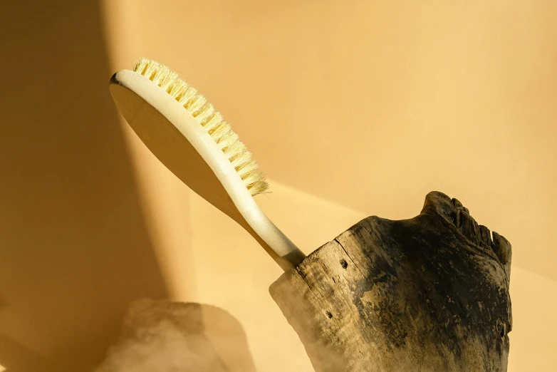 a toothbrush sitting on top of a piece of wood, by Julia Pishtar, diffused natural skin glow, high-body detail, scythe, back - shot