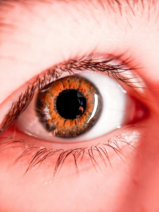 a close up of a person's eye, trending on unsplash, orange extremely coherent, brown ) ), ultra definition, one eye red