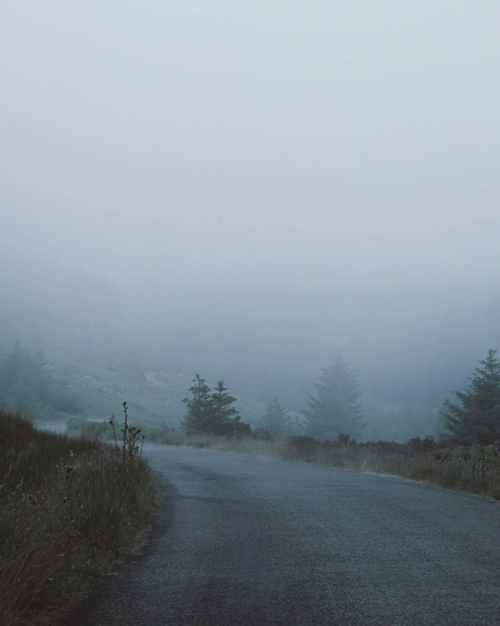 a black and white photo of a foggy road, an album cover, inspired by Elsa Bleda, unsplash contest winner, in muted colours, hilly road, pale blue fog, slightly pixelated