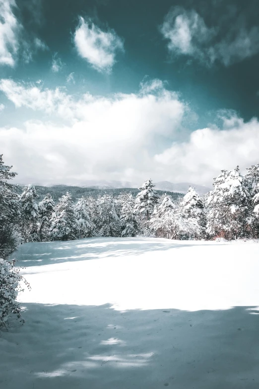 a snow covered field with trees in the background