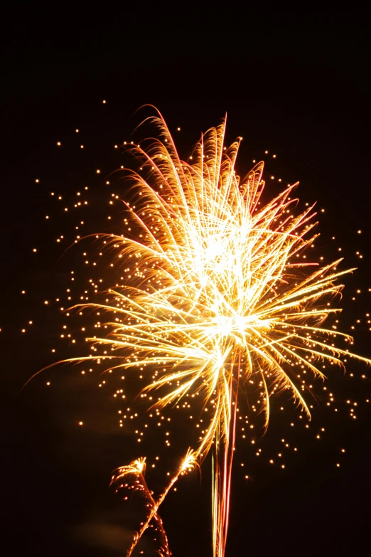 a couple of fireworks that are in the sky, by Tom Bonson, happening, slide show, glowing gold embers, contain